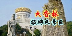 鸡巴肏逼H文化骚逼中国浙江-绍兴大香林旅游风景区